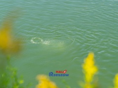 Sobotnia tragedia nad zalewem w Czarnej Sędziszowskiej. Nie żyje mężczyzna wyciągnięty z wody