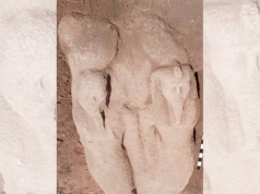 Nowe odkrycie w Egipcie. Wydobyto posąg związany z historią Mojżesza