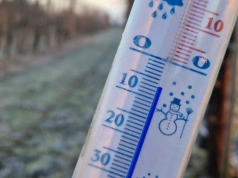 Przymrozek wraca dziś w nocy. Przy gruncie może być nawet -7°C