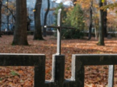 Varsavianista Jerzy Majewski: szczątki z dawnego Cmentarza Świętokrzyskiego powinny zostać pochowane w Warszawie