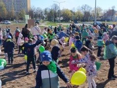 Łąka kwietna w centrum Ostrowca