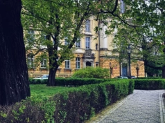 Przymrozki - ostrzeżenie meteo dla Legnicy