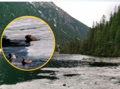 Przyrodnicza sensacja w Tatrach. Oto kto odpoczywał nad Morskim Okiem