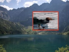 Wreszcie dał się przyłapać. Pierwsze takie nagranie z okolic Morskiego Oka