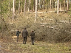 Dron pokazał coś strasznego, leśnicy załamani. Setki hektarów zniszczone