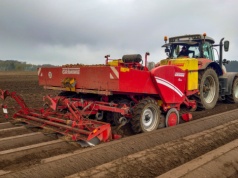 To ostatnia szansa, by kryzys branży ziemniaczanej nie pogłębił się na kolejny sezon