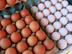 Jaja z Ukrainy i Turcji zalewają Polskę. Import wzrósł o 73 proc.