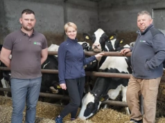 Nie gonią za rekordami. Ten rolnik stawia na zdrowie krów i stabilny zysk