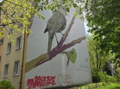 Ptasie murale na Kozłówku zdewastowane. Przez lata były wizytówką dzielnicy