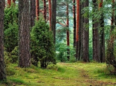 Jak rozwijać turystykę odpowiedzialnie? Dyskusja w Charzykowach pod Chojnicami