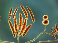 To nie tylko pył i sól. Naukowcy odkryli "niewidzialnych architektów" deszczu