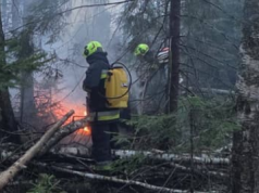 Ogromny pożar w Puszczy Białowieskiej