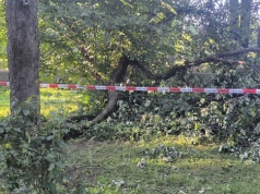 Silny wiatr nad regionem. Ostatnia doba pełna interwencji strażaków