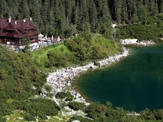 Kamera uchwyciła niezwykłego osobnika w Tatrach. Wygrzewał się przy Morskim Oku