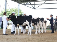 Ruszyły zapisy do Ogólnopolskiej Szkoły Młodych Hodowców 2026!