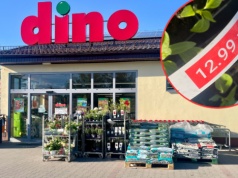 Nowy widok przed Dino. Klienci podchodzą i dziwią się. "Tego wcześniej ne było"