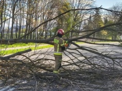 Wiatr uderzył z pełną mocą. Najbardziej poszkodowane 4 województwa
