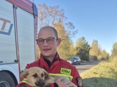 Nietypowa interwencja w Ślesinie. Pies bezpiecznie wydobyty z przepustu