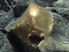 Na dnie oceanu spoczywała tajemnicza złota kula. Po latach naukowcy ujawnili, czym jest