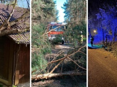 Silny wiatr nad Polską. Tysiące interwencji w całym kraju