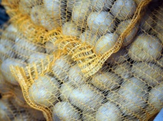 Darmowe warzywa w Krakowie. Start wielkiej akcji już w poniedziałek