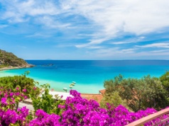 Tropikalna wyspa zaledwie kilka godzin od Polski. Nawet Napoleon tu był. Gdzie znajduje się ten raj?