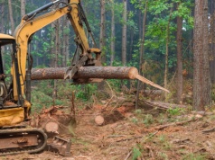 Spór o nowy projekt w rządzie. "Polska dokłada surowsze zasady niż Bruksela"