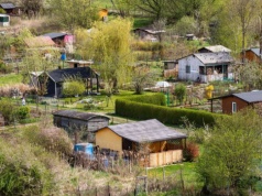 Wysyp ofert "sprzedaży" działek ROD. Tyle trzeba zapłacić w 2026 r. za własne "rodos"
