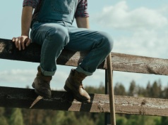 Tuczniki bez wsparcia z Zachodu. Ceny w Polsce poszły w dół