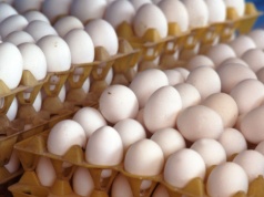 Wielka zmiana na polskich stołach. Skąd tak naprawdę biorą się teraz jaja w sklepach?