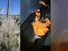 Nawet -9°C przy gruncie. Plantatorzy walczyli z mrozem