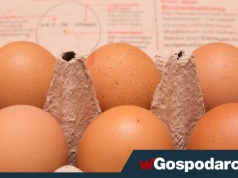 Producenci drobiu: rośnie import jaj do Polski