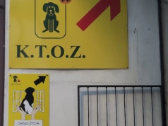 Wyrzucili zwierzęta na ulice jak śmieci. „To wyciska łzy z oczu”