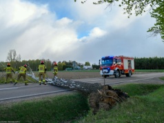Silny wiatr nad Polską. Ponad dwa tysiące interwencji