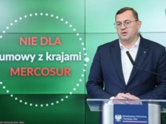 Awantura o wołowinę premium. Polski rząd reaguje ws. Mercosuru