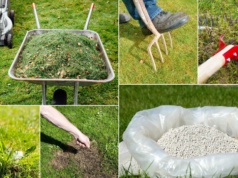 Trawnik po zimie wygląda źle? Zrób te 6 rzeczy w kwietniu, a będzie gęsty i zielony