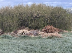 Wojna o odpady w rzeszowskim Budziwoju. „Wyglancowane ogródki, a za płotem syf”