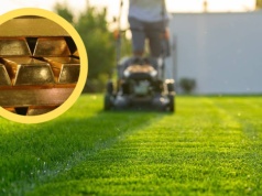 Kosił trawnik. Znalazł złoto za prawie 180 tys. zł