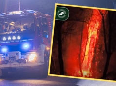 "Największy pożar od lat". Wielka akcja gaśnicza w Puszczy Białowieskiej