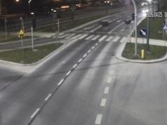 Niecodzienny widok w Olsztynie. Na ulicy Krasickiego pojawiły się łosie!