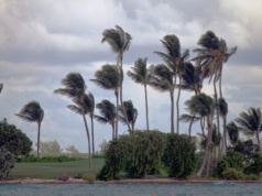 Światowa Organizacja Meteorologiczna alarmuje: El Niño jest coraz bliżej