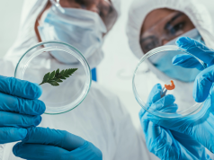 Biotechnologia: Czy Polska zajmie niewypełnioną niszę?