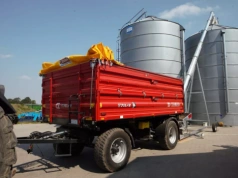 Ceny zbóż mogą wzrosnąć przed żniwami. Sprawdzamy stawki w skupach