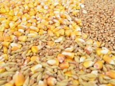 Ukraina zmienia zasady eksportu po aferze zbożowej. A zapasy do wysyłek za granicę są olbrzymie