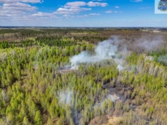 Pożar lasu pod Skierniewicami. Do akcji wkroczył samolot gaśniczy