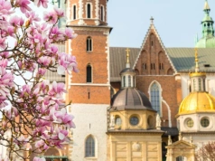 Polskie miasto wygranym majówki. W rezerwacjach wyróżnia się ten kraj