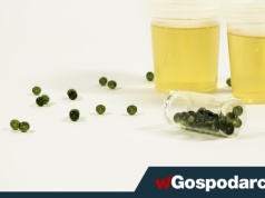 Mocz – czego możemy się z niego dowiedzieć?