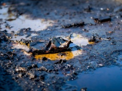 Miasto w Rosji tonie w ropie. Klęska ekologiczna po ukraińskim ataku