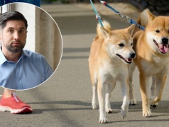 Nowe obowiązki dla właścicieli psów coraz bliżej, za niedopełnienie kara. Ekspert wyjaśnia, co się zmieni