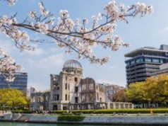 Zielony cud w Hiroszimie. Drzewa po bombie atomowej zaskakują naukę